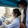 What Are the Different Phases of Clinical Trials?